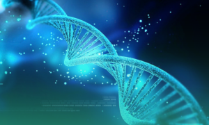 ساختار دنا DNA